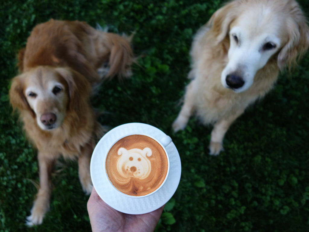 Canines & Coffee