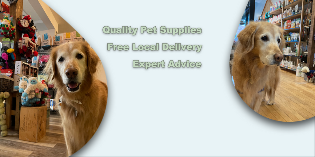 West Hartford  & Farmington Pet Store