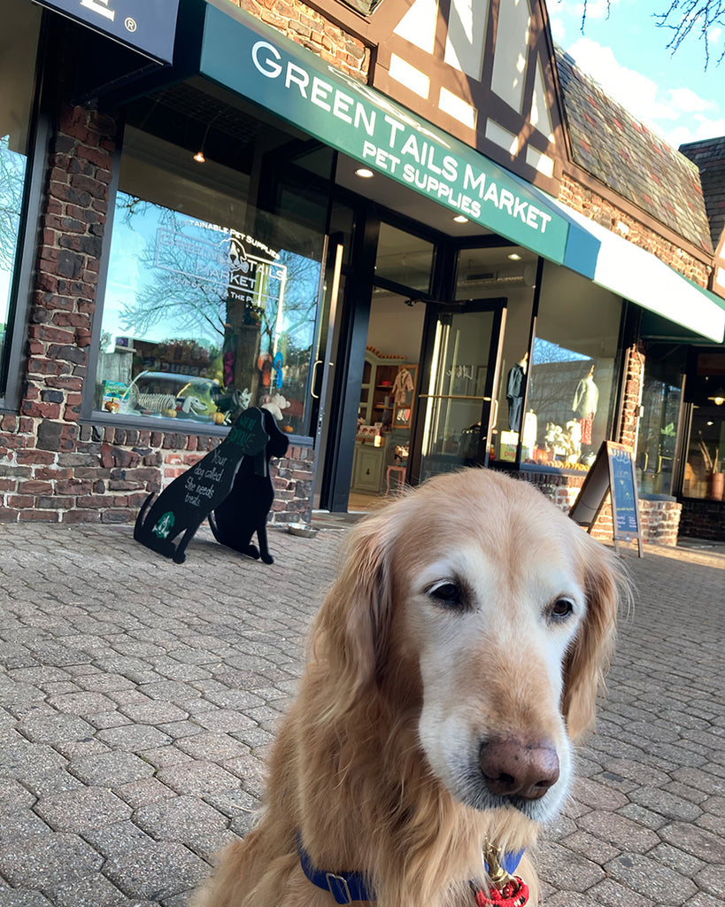 West Hartford Center Pet Store